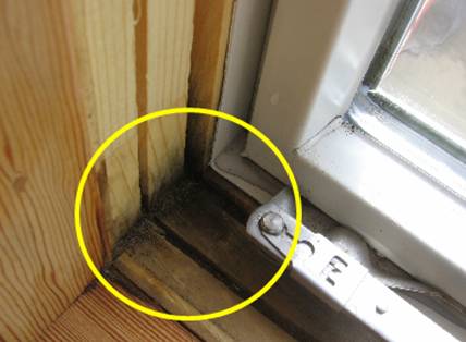 window water leak damage