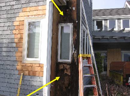 dry rot because poor window flashing and no kickout flashing
